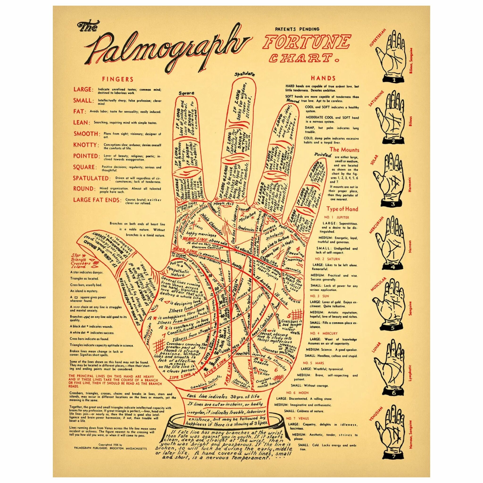 Fortune Telling - Juliste